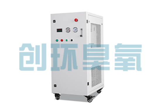 长宁石斑鱼养殖水质调控完整指南：臭氧发生器配置与操作步骤