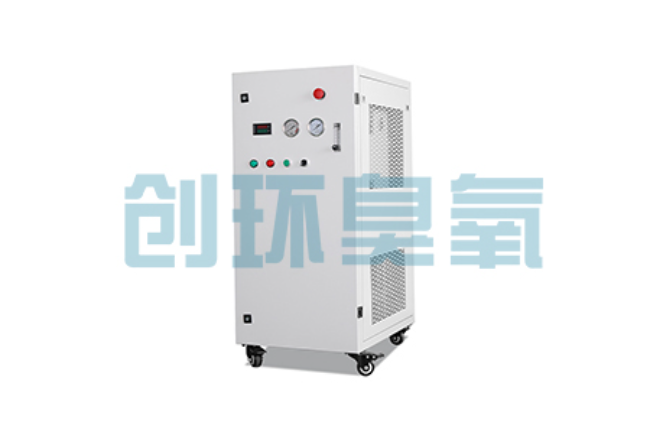 长宁比传统换水更高效？臭氧发生器在石斑鱼养殖中的水质净化原理解析